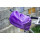 Сумка + RainCover фіолетовий  + 95 грн 