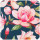 Magnolii 