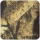 Dark Forest 